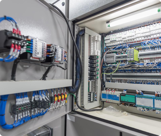 Field Wiring & Panel Wiring